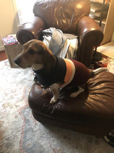 /Images/uploads/Congregation Beth Emeth/bethemeth/entries/17640thumb.jpg